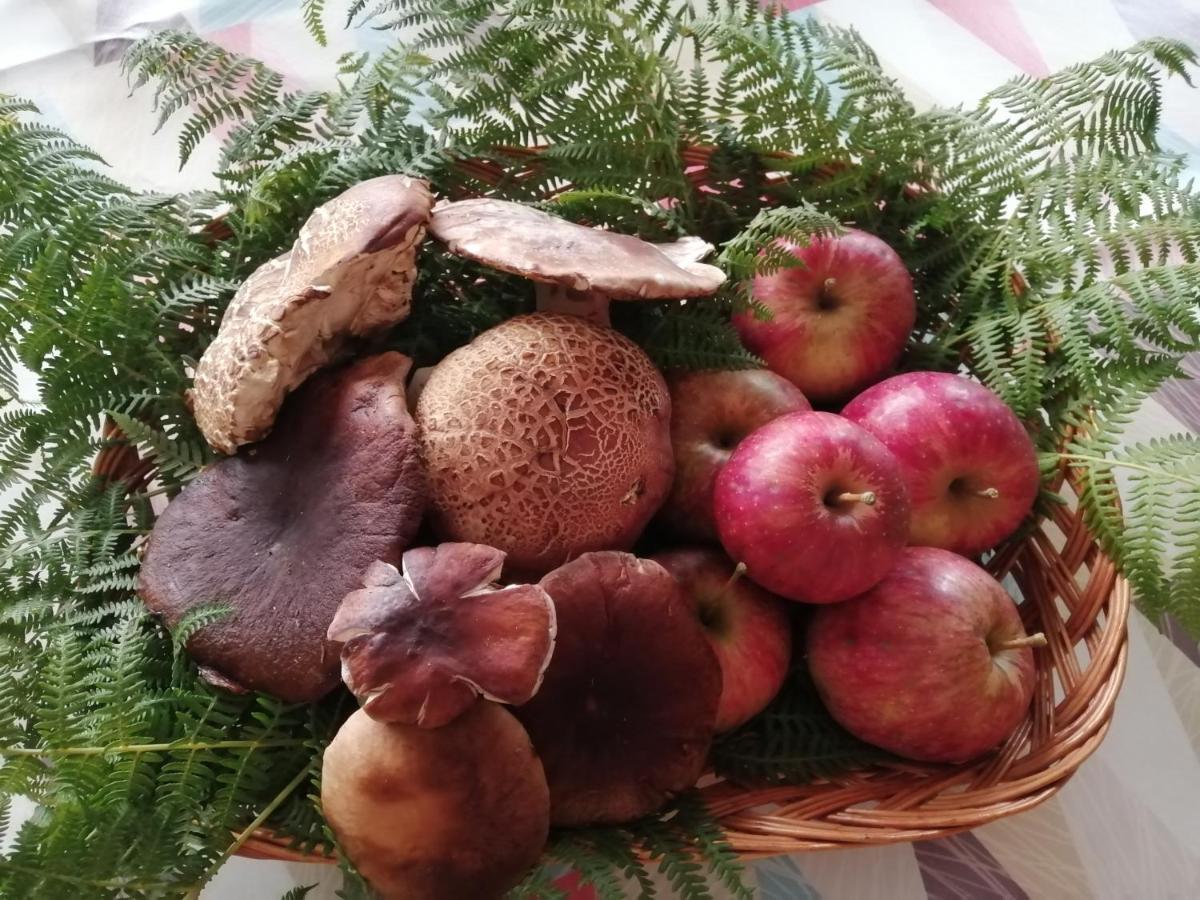 Argixti ξενώνας Sumbilla Εξωτερικό φωτογραφία
